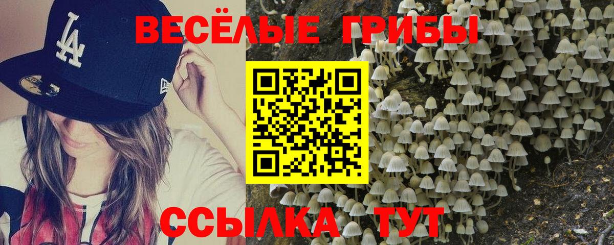 Галлюциногенные грибы GOLDEN TEACHER  Вход с VPN  Владивосток 